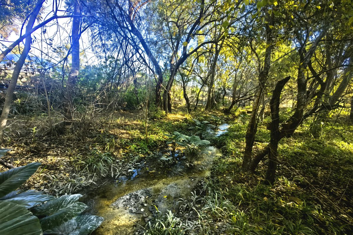 Exceptional Water-Rich Off-Grid Farm - Photo 5