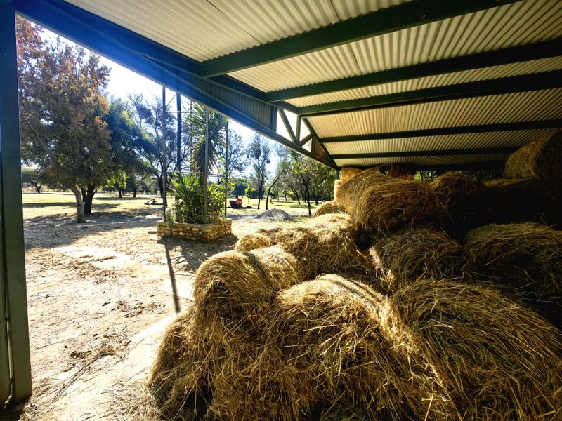 Exceptional Water-Rich Off-Grid Farm - Photo 3