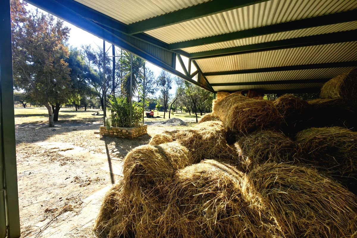 Exceptional Water-Rich Off-Grid Farm - Photo 3