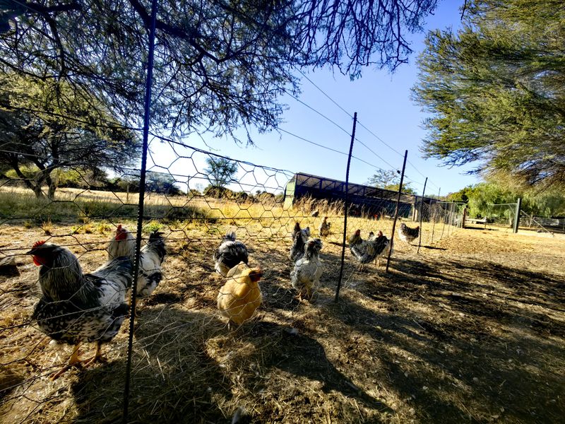 Exceptional Water-Rich Off-Grid Farm - Photo 7