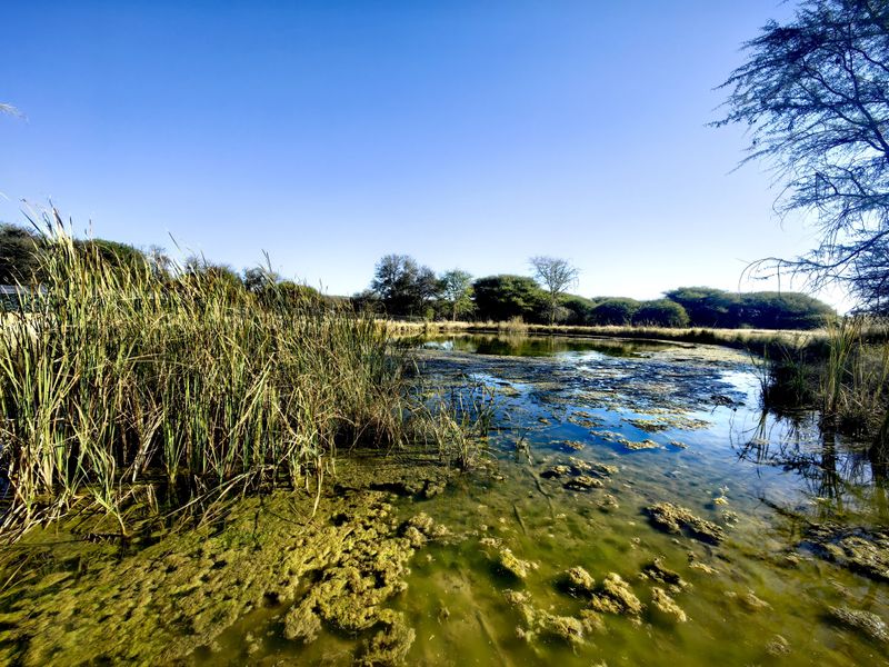 Exceptional Water-Rich Off-Grid Farm - Photo 6