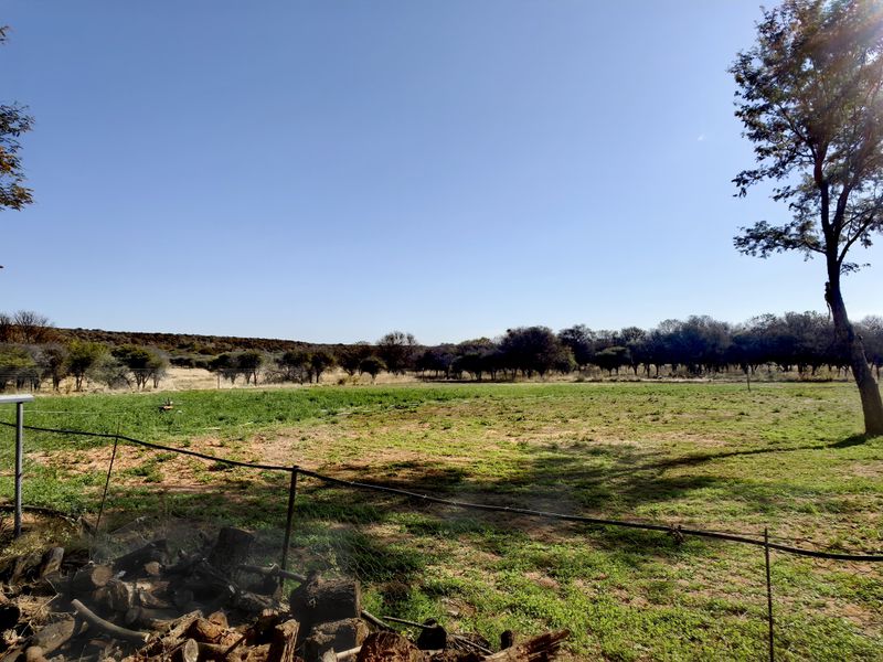 Exceptional Water-Rich Off-Grid Farm - Photo 2