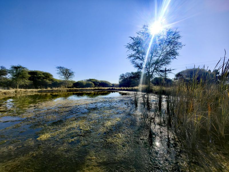 Exceptional Water-Rich Off-Grid Farm - Photo 10