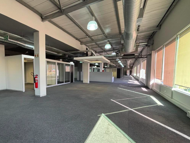 Spacious open-plan office area featuring industrial-style exposed ceilings, large windows providing ample natural light, and modern glass-partitioned private office spaces.