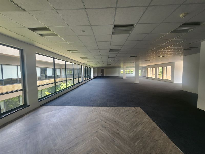 646.5sqm Offices to let in Wierda Valley, Sandton - Photo 4