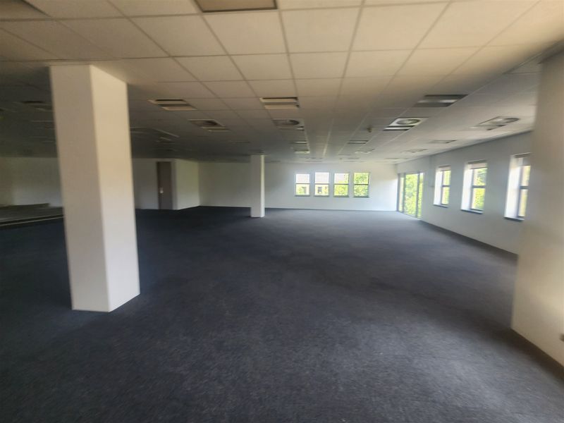 646.5sqm Offices to let in Wierda Valley, Sandton - Photo 8