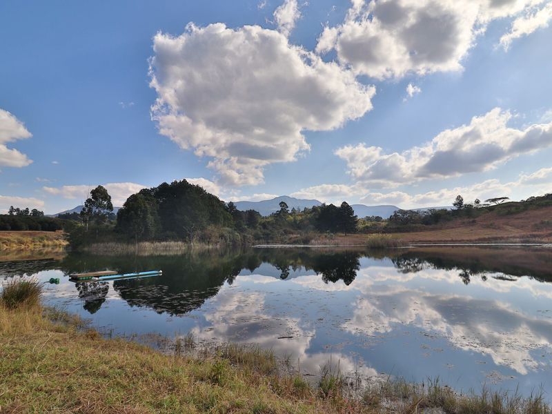 Elite 30ha Lowveld Macadamia Farm – Prime Production, Executive Living & Turnkey Operation! - Photo 5