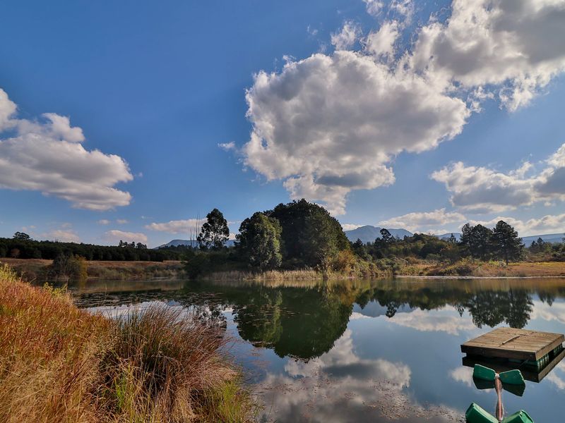 Elite 30ha Lowveld Macadamia Farm – Prime Production, Executive Living & Turnkey Operation! - Photo 4