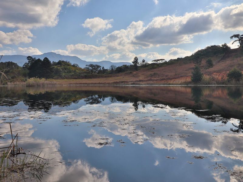 Elite 30ha Lowveld Macadamia Farm – Prime Production, Executive Living & Turnkey Operation! - Photo 7