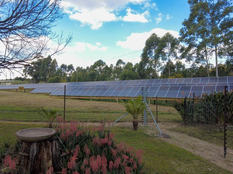 Elite 30ha Lowveld Macadamia Farm – Prime Production, Executive Living & Turnkey Operation! - Photo 8