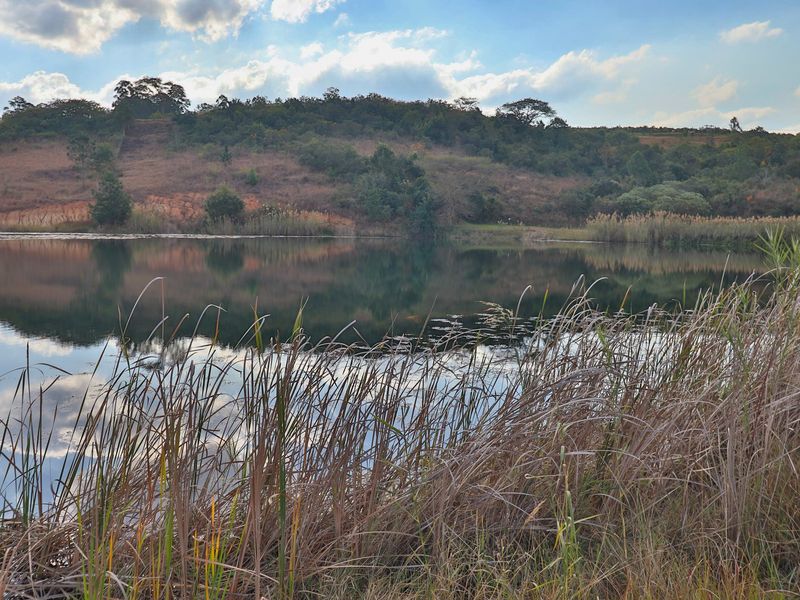 Elite 30ha Lowveld Macadamia Farm – Prime Production, Executive Living & Turnkey Operation! - Photo 6