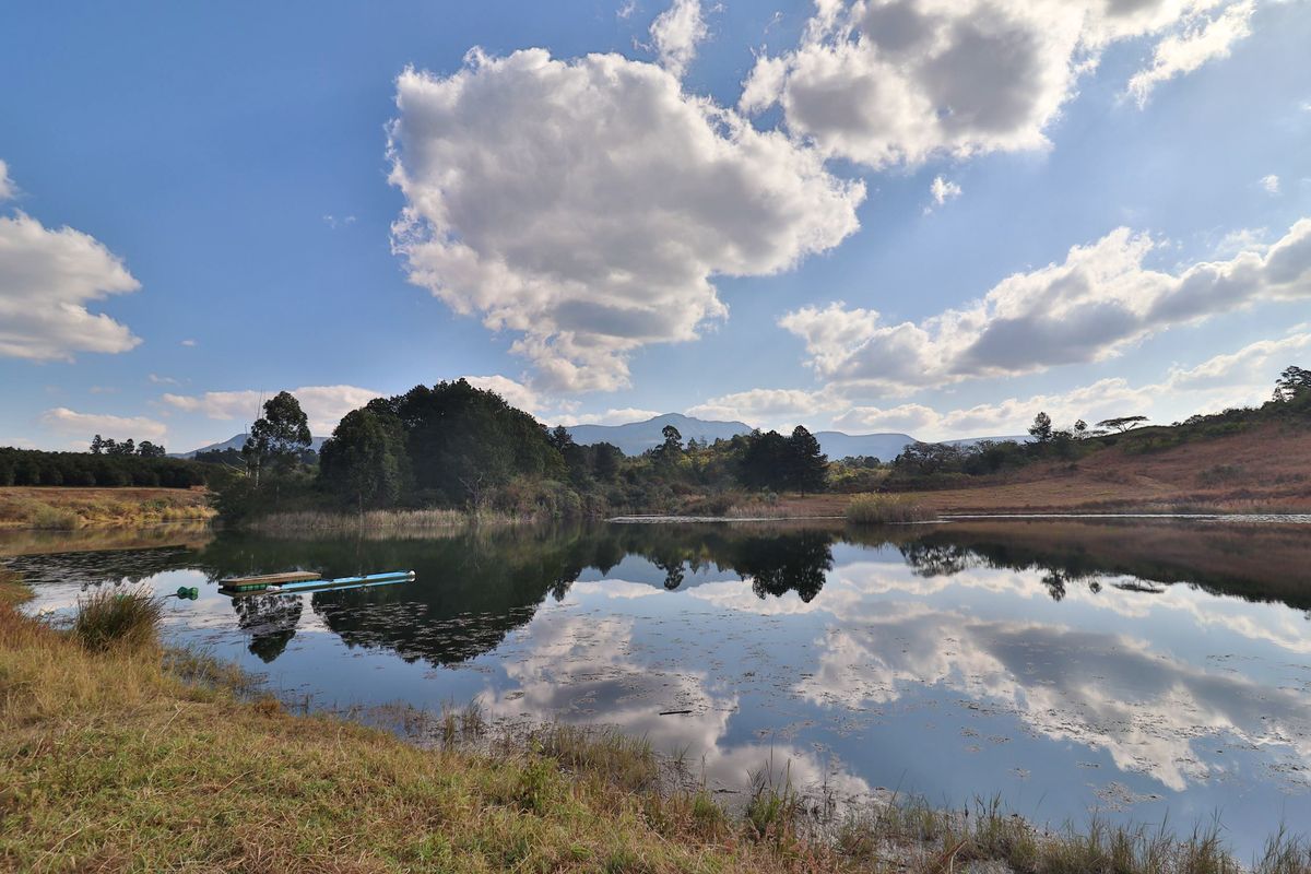 Elite 30ha Lowveld Macadamia Farm – Prime Production, Executive Living & Turnkey Operation! - Photo 5