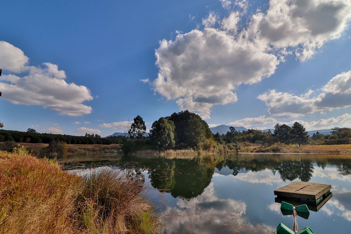 Elite 30ha Lowveld Macadamia Farm – Prime Production, Executive Living & Turnkey Operation! - Photo 4