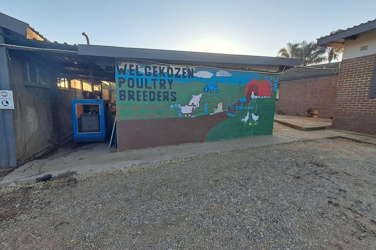 Farm For Sale In Piet Retief - Photo 4