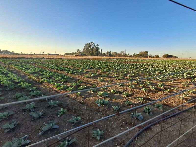 Farm For Sale In Piet Retief - Photo 5