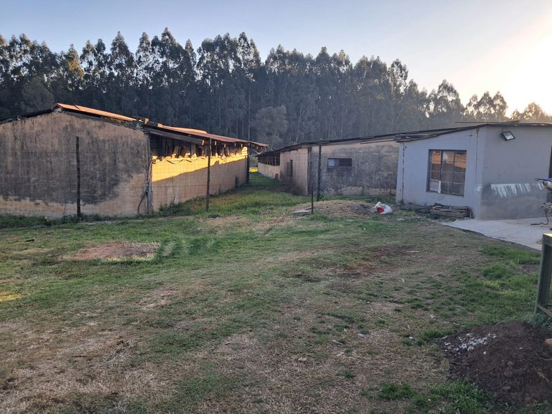 Farm For Sale In Piet Retief - Photo 2