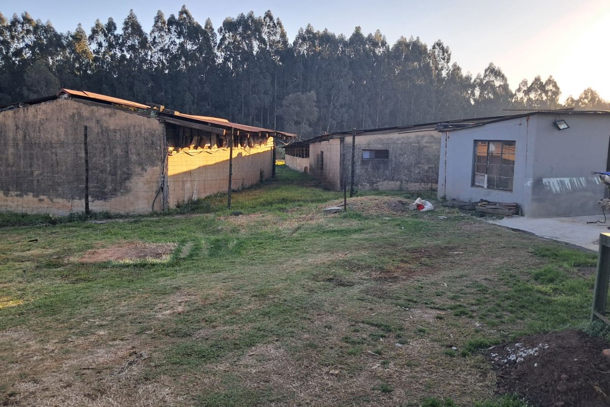 Rear view of farm outbuildings featuring concrete block construction and metal roofing, set within a rural landscape with significant maintenance required.