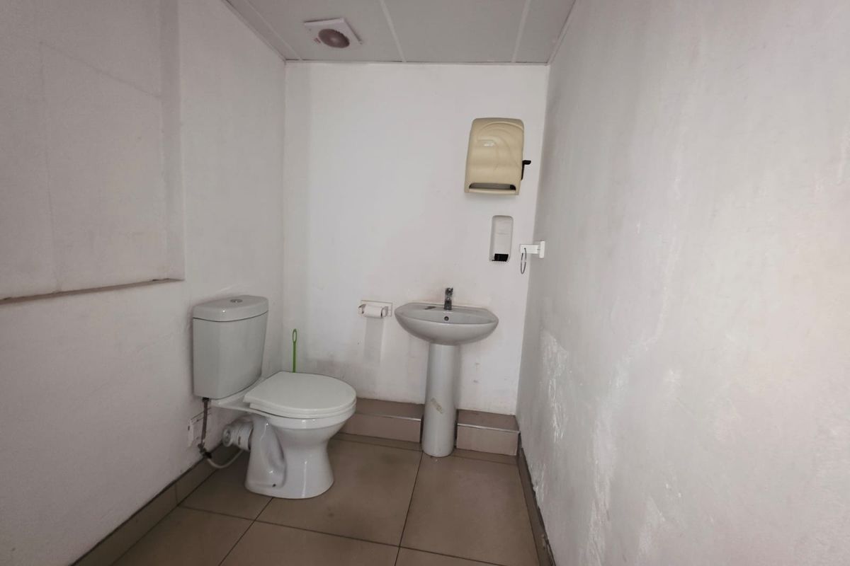 A functional commercial bathroom featuring a pedestal basin, toilet, tiled flooring, and a suspended ceiling, currently requiring cosmetic wall repairs.