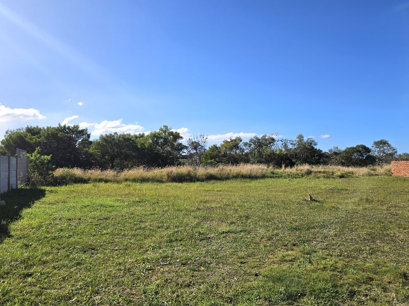 Dynamic Commercial Investment Opportunity - Photo 8