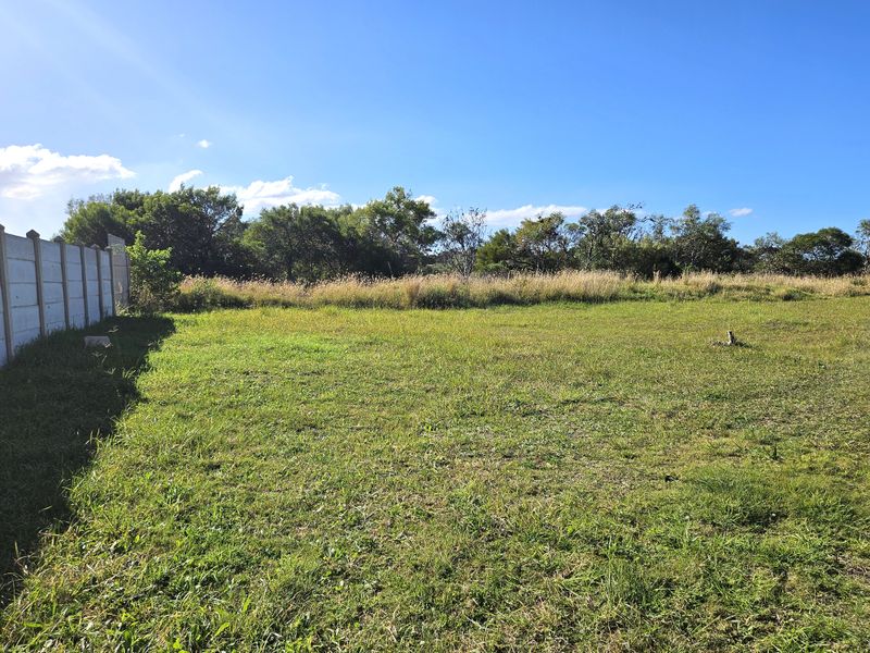 Dynamic Commercial Investment Opportunity - Photo 6