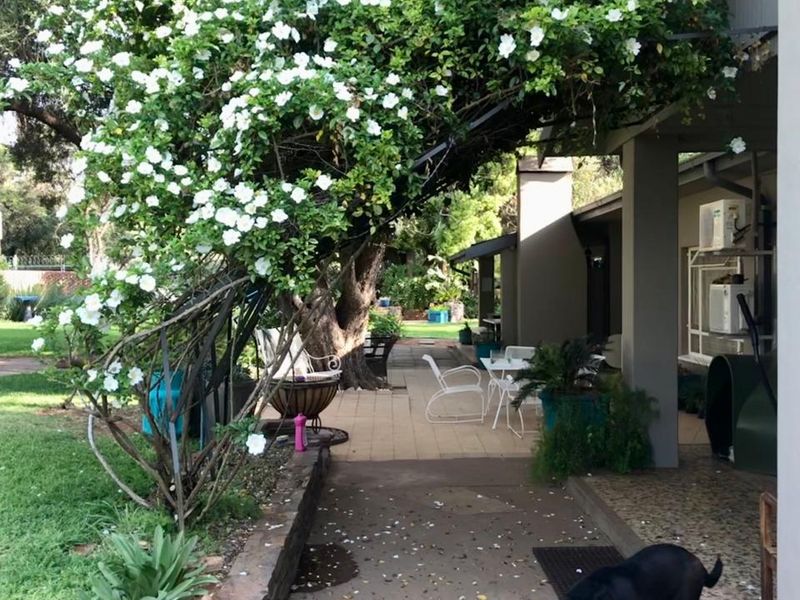 A covered patio area featuring paved flooring, a stone retaining wall, and established flowering greenery, providing a shaded outdoor space.