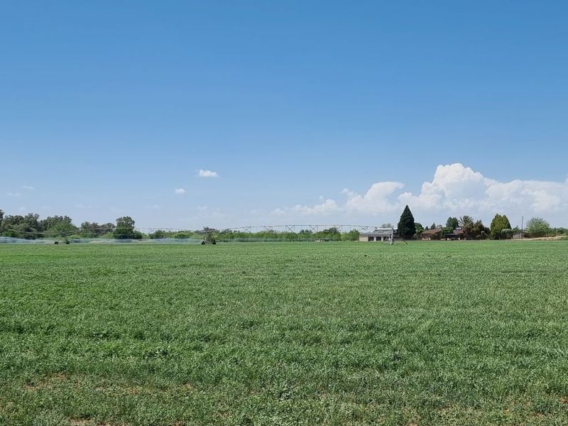 Expansive agricultural field featuring an active irrigation system, suitable for small holding farming or grazing purposes.