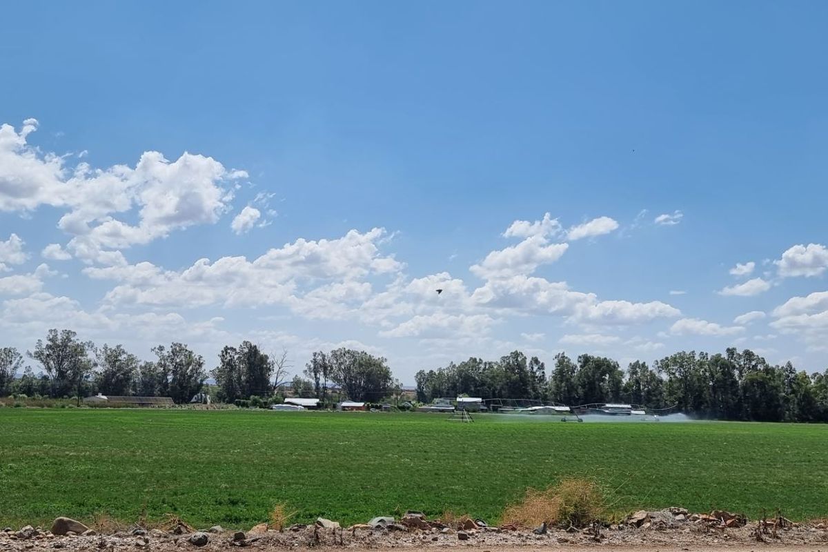A wide-angle view of the expansive green pasture on the small holding, featuring active irrigation systems and mature tree lines in the distance.