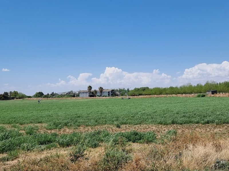 Expansive agricultural land featuring an active irrigation system and distant farm structures under a clear blue sky.