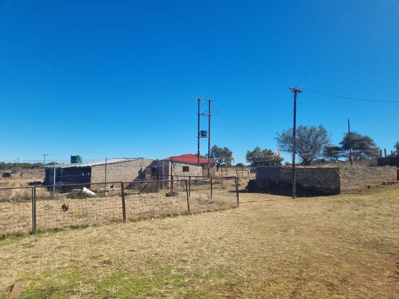 26.40ha Farm in Shylock – Prime Agricultural Opportunity between Rustenburg and Swartruggens - Photo 4