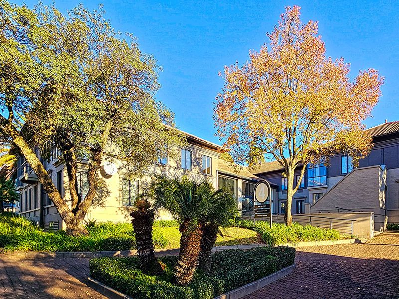 556.06sqm Offices to let in Sandton - Photo 2