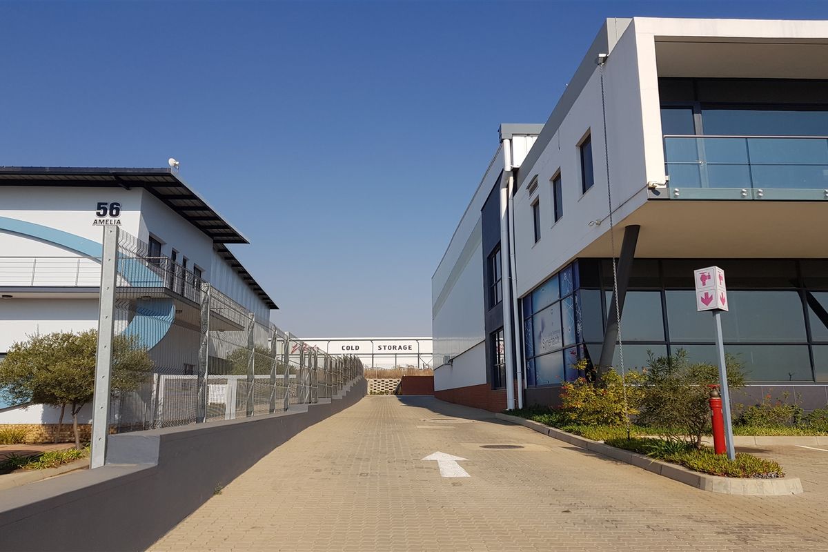 2244m2  Warehouse  - TO LEASE - Photo 3