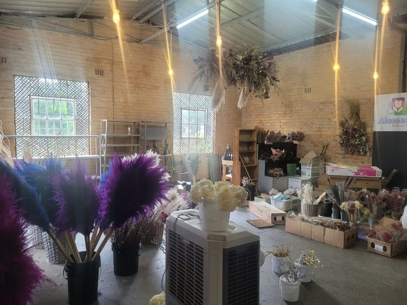 167m2 Retail / Warehouse to Let in Doornkloof East, Irene area - Photo 6