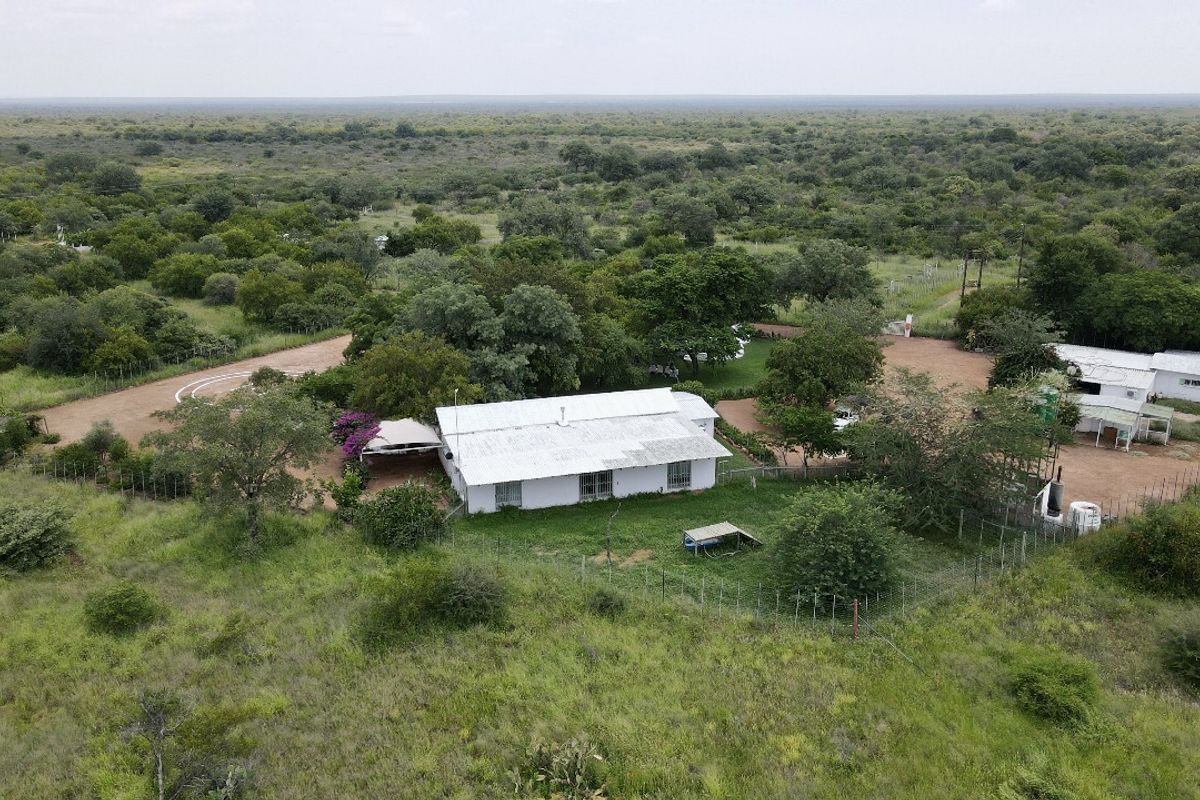 Alomfraai 256Ha Estate – Income-Generating Game Farm & Safari Retreat in Limpopo - Photo 5