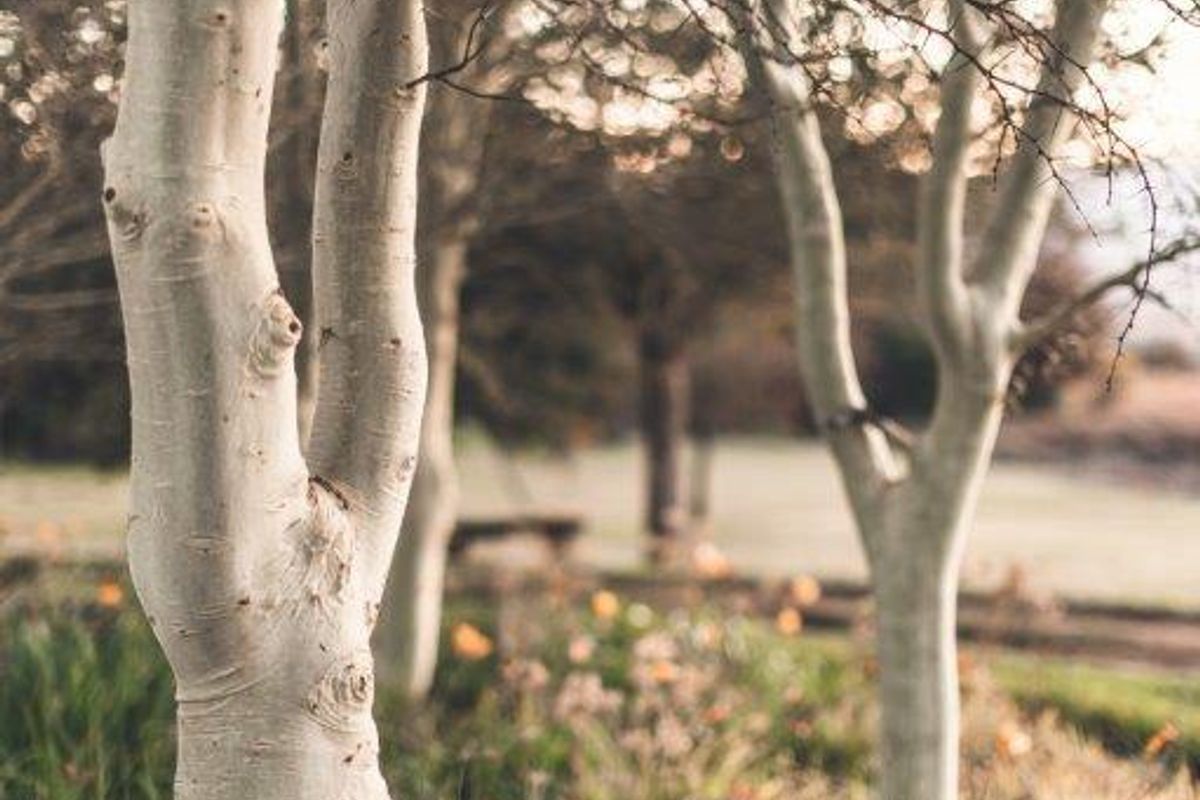 For Sale;  Executive Style Farm 12.78 Ha  7 km from town - Photo 3