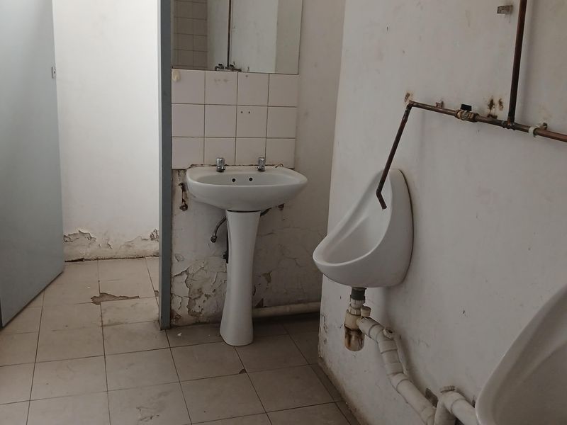 Industrial restroom facility featuring pedestal basin and wall-mounted urinals with exposed plumbing, requiring significant maintenance and cosmetic refurbishment.