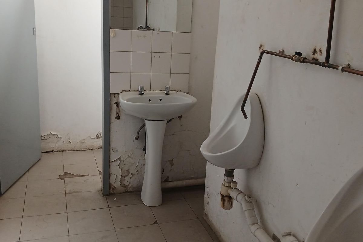 Industrial restroom facility featuring pedestal basin and wall-mounted urinals with exposed plumbing, requiring significant maintenance and cosmetic refurbishment.