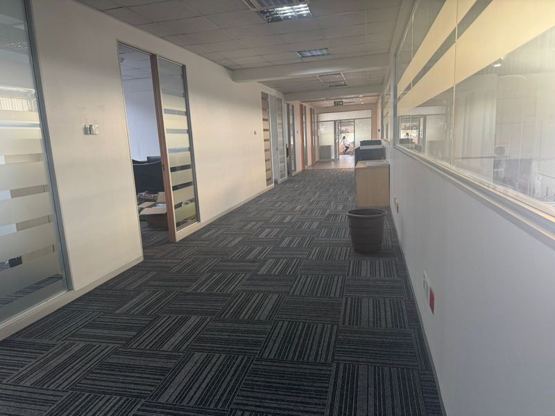 A spacious industrial office hallway featuring modern carpet tiles, suspended ceilings, and glass partition walls providing access to multiple office suites.