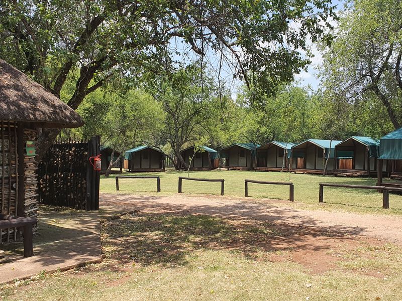 Historic Leeuwenkloof Game Tourism Echo Farm - Photo 5
