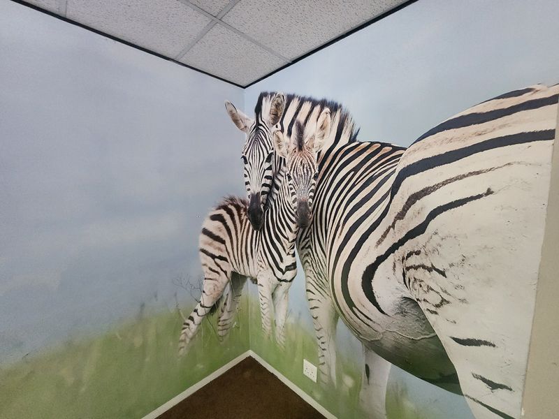 974m2 Office to let in Sandown, Sandton - Photo 9