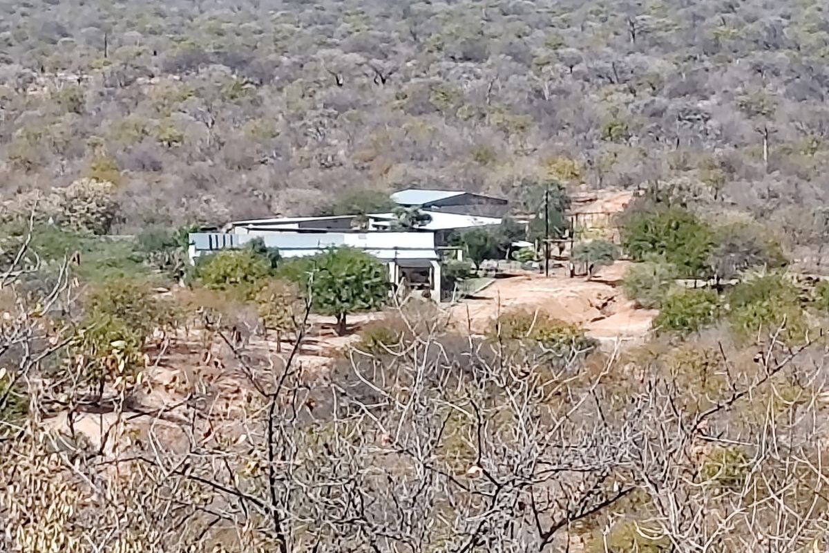 An elevated aerial view of a farm property nestled within a natural bushveld landscape.