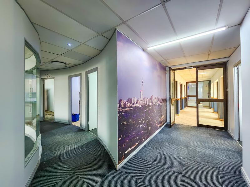 A spacious office hallway featuring a suspended ceiling, carpeted flooring, and glass partitions, leading to multiple individual office rooms.