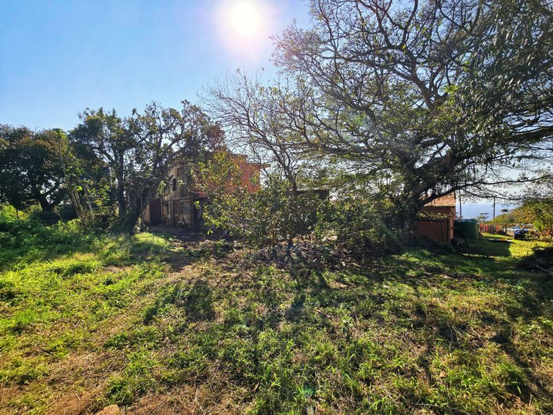 A view of the rear exterior grounds featuring mature trees and a building structure in need of significant maintenance and restoration.