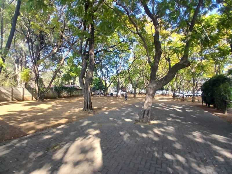 A spacious outdoor garden area featuring mature trees, a paved driveway, and a secure perimeter wall.