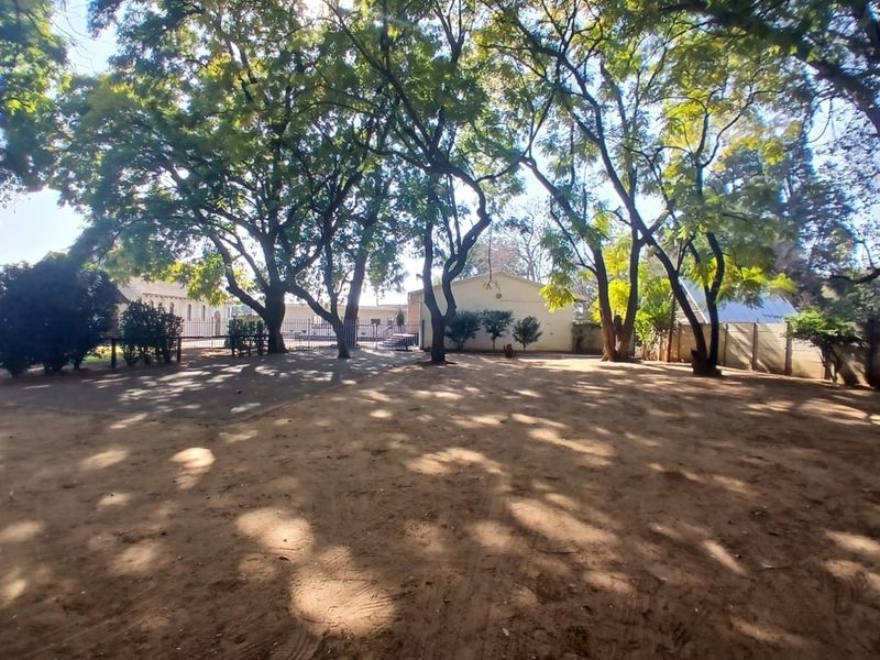 A spacious outdoor area featuring mature trees, a paved driveway, and perimeter walling, providing a shaded and open exterior space.
