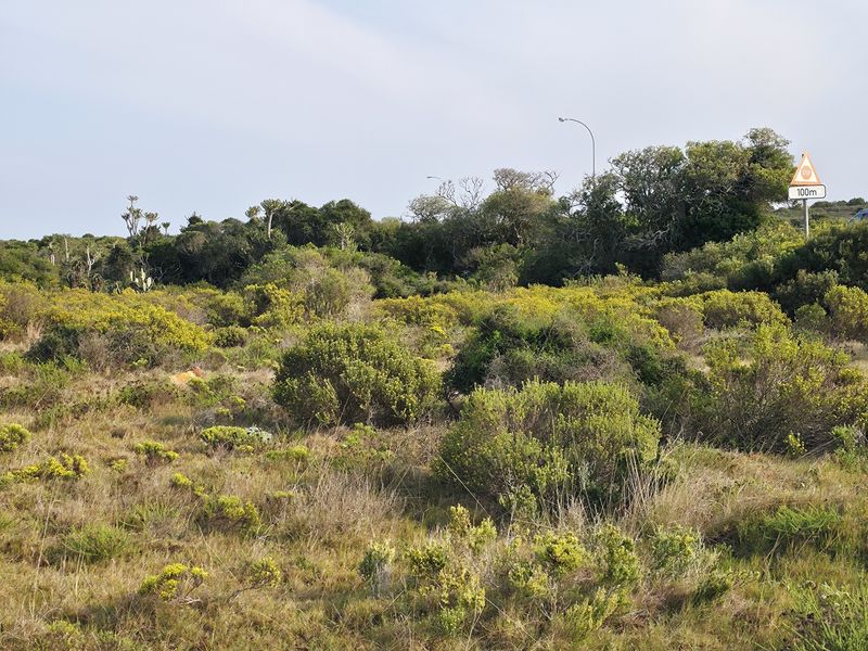 A view of the natural landscape and vegetation on the farm property, featuring indigenous shrubs and trees.