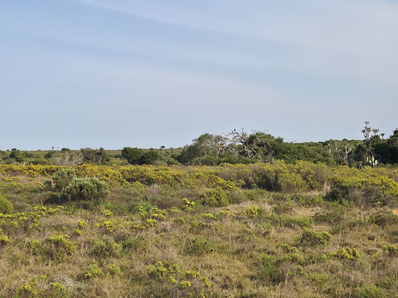 A scenic view of the expansive natural landscape featuring indigenous vegetation and open fields typical of the farm property.