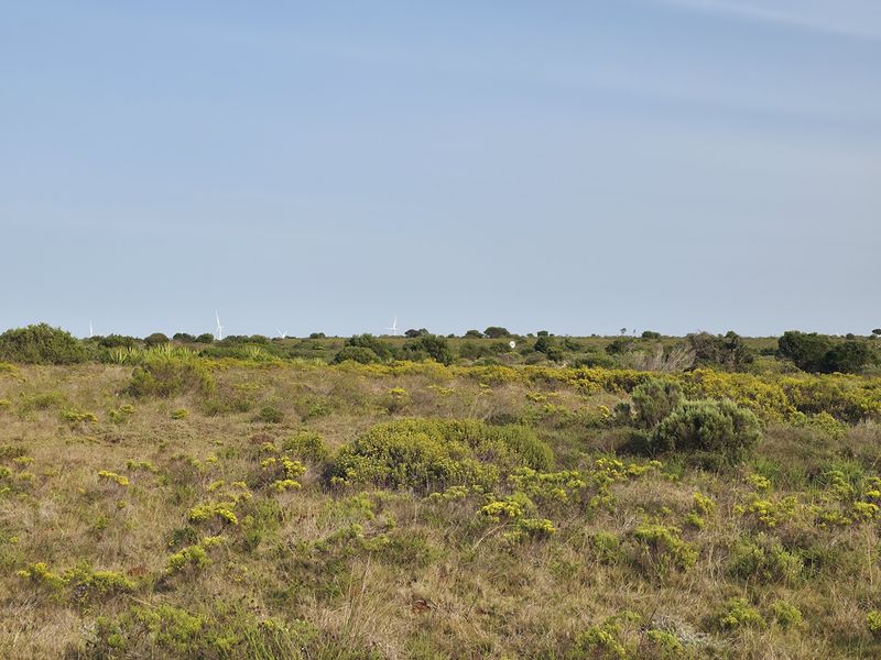 A wide-angle view of the expansive natural landscape and open veld characteristic of the farm property.