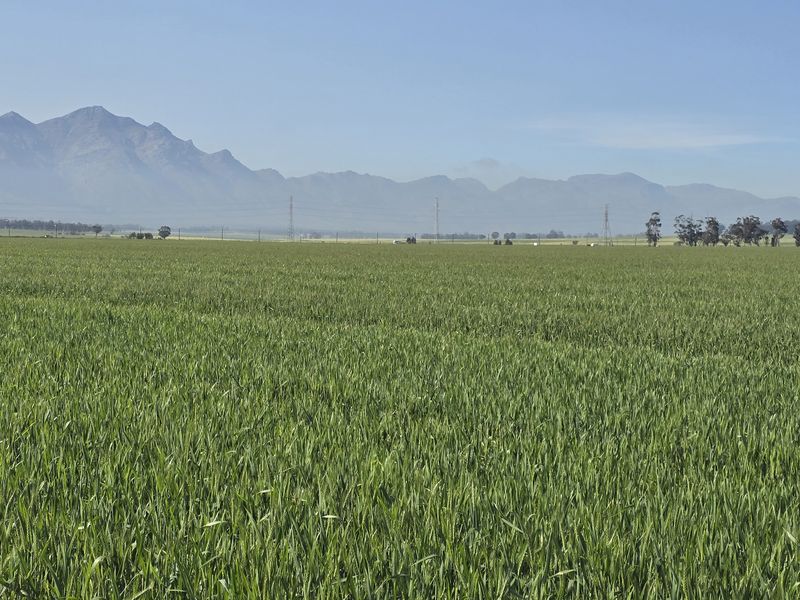Expansive green agricultural fields set against a scenic mountain range backdrop, showcasing the property's vast landscape and rural setting.