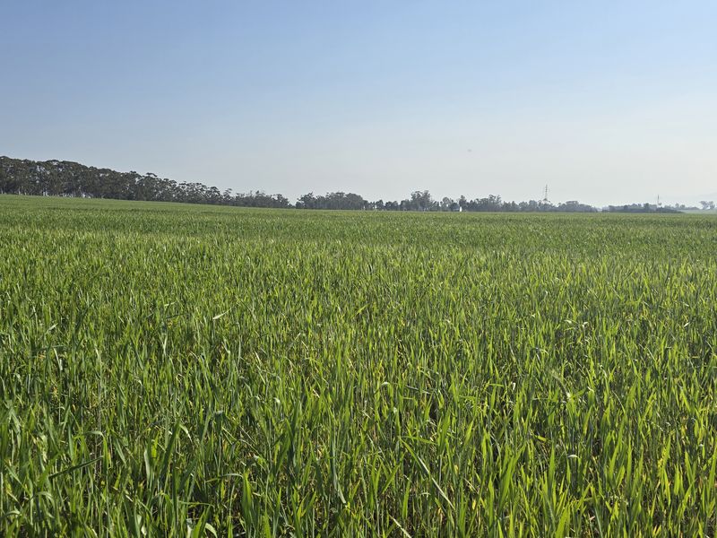 A wide-angle view of expansive green agricultural fields under a clear blue sky, showcasing the property's rural landscape and open space.