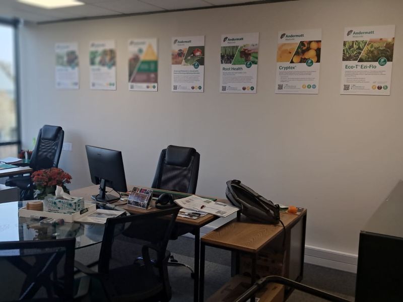 Services Office TO LET in Irene - Photo 5